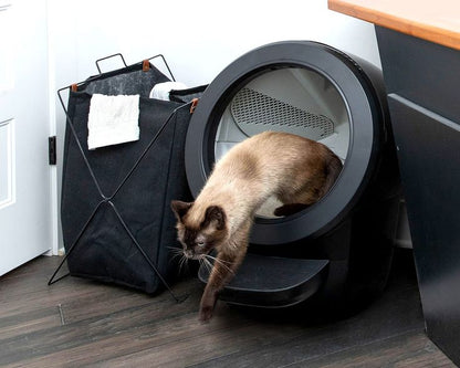 Automatic Self-Cleaning Cat Litter