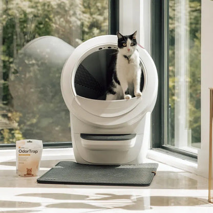 Automatic Self-Cleaning Cat Litter