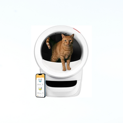 Automatic Self-Cleaning Cat Litter